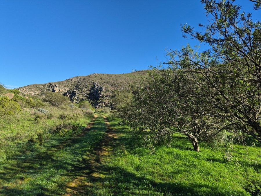 Commercial Property for Sale in Swellendam Rural Western Cape